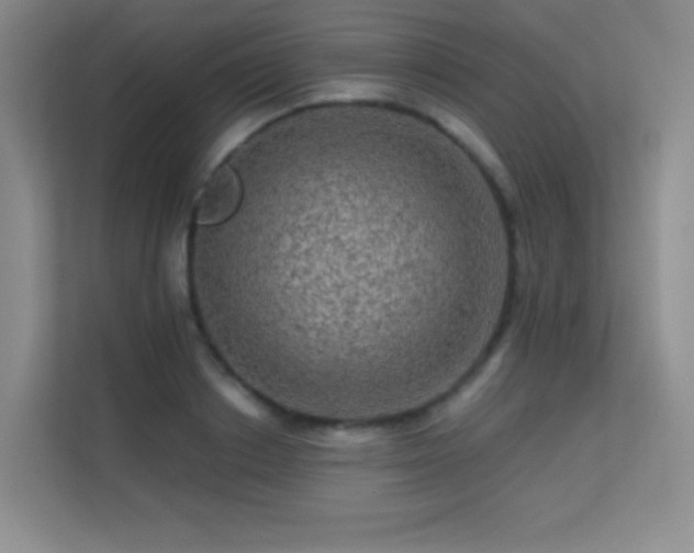 X0000113570842200909251133