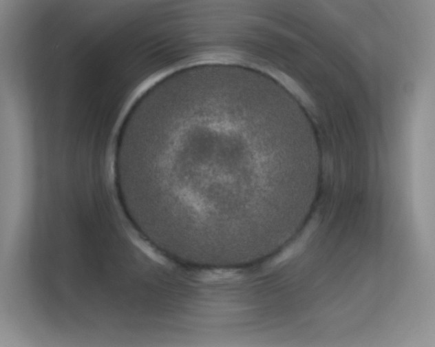 X0000113570846200909251133