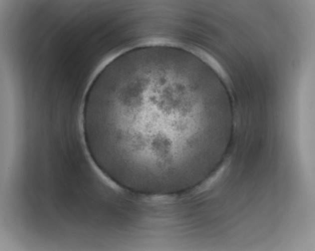 X0000113570847200909251133