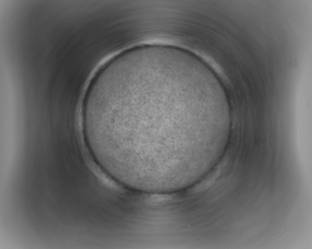 X0000113570848200909251133