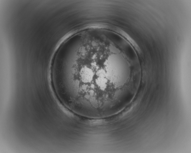 X0000113570853200909251133