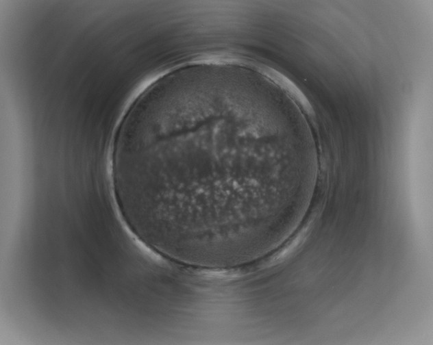 X0000113570855200909251133