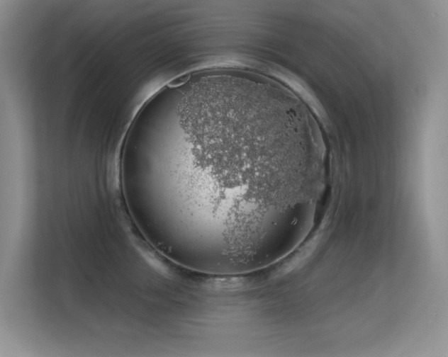 X0000113570858200909251133