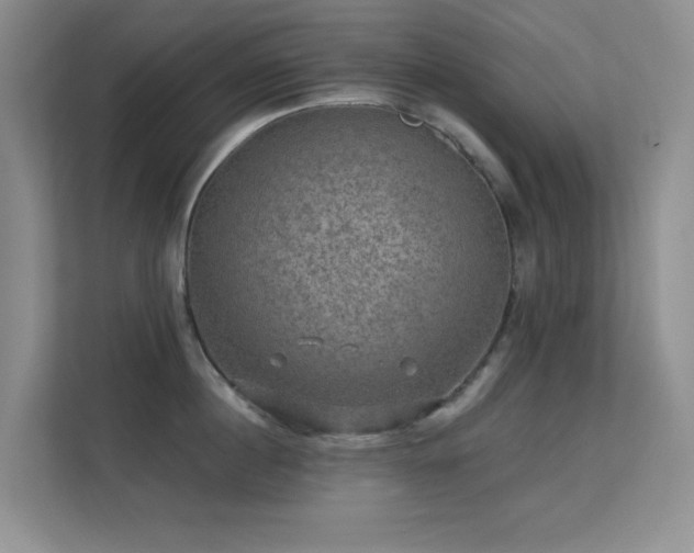 X0000113570860200909251133
