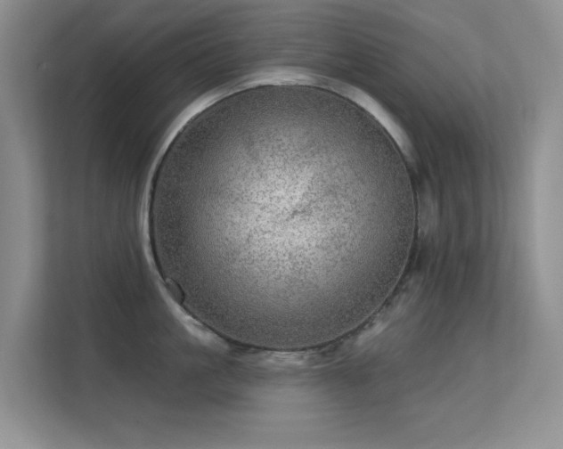 X0000113570861200909251133