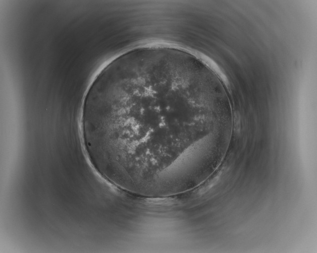 X0000113570863200909251133