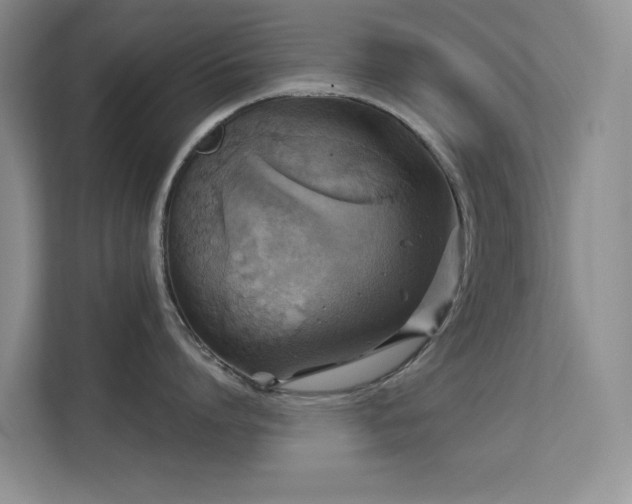 X0000113570864200909251133