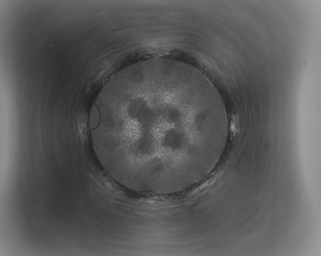 X0000113570867200909251132