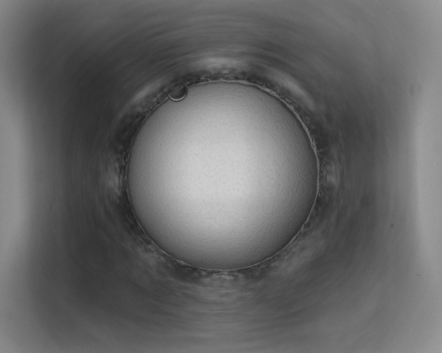 X0000113570869200909251132