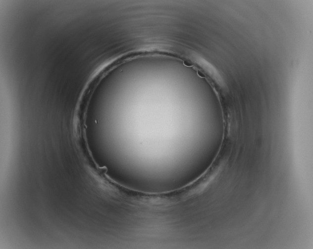X0000113570876200909251132
