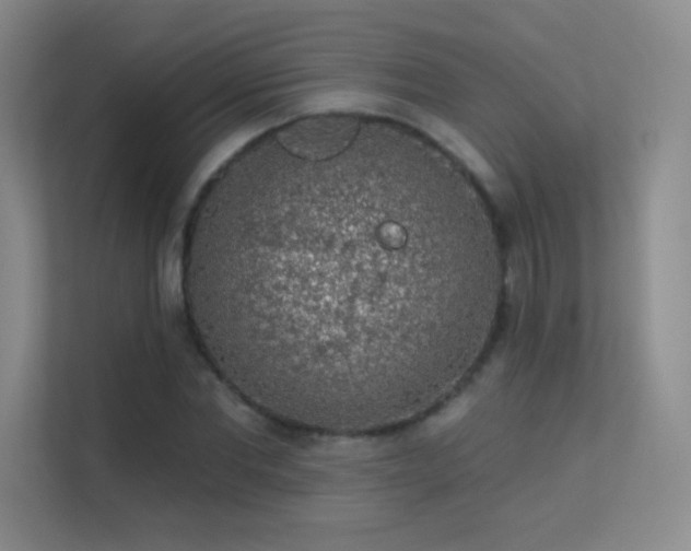 X0000113570877200909251132