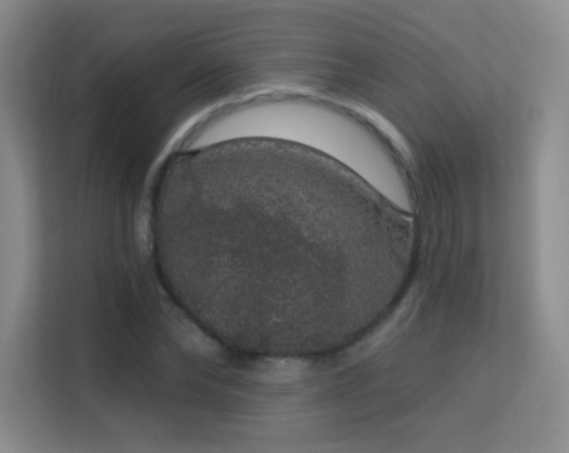 X0000113570878200909251132