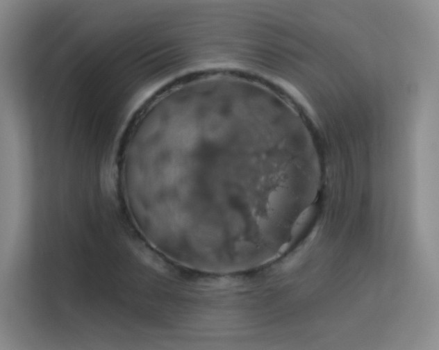 X0000113570879200909251132
