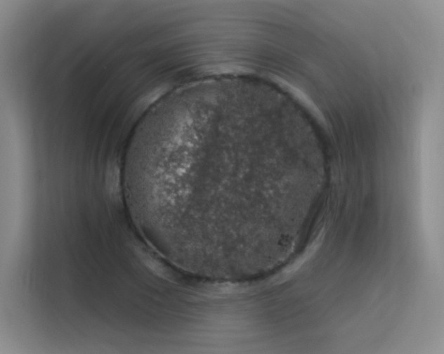 X0000113570881200909251132