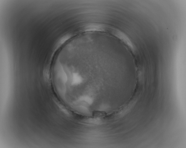 X0000113570882200909251132