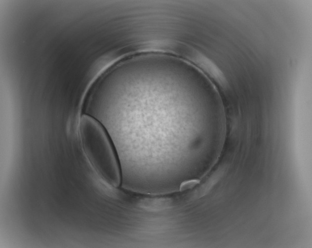 X0000113570884200909251132
