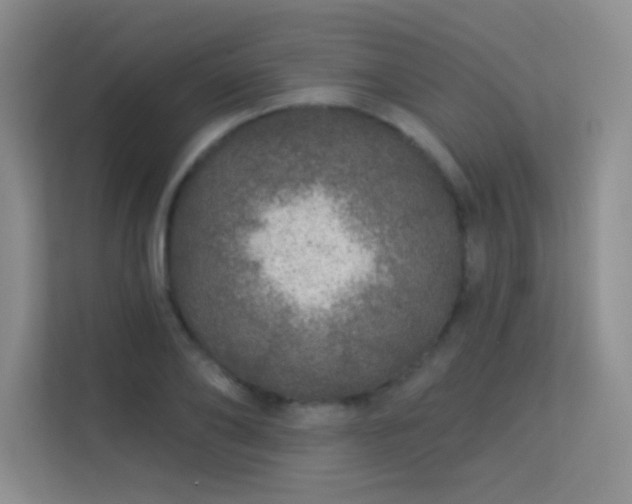 X0000113570886200909251132