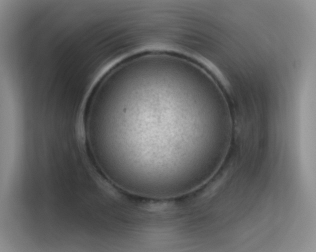 X0000113570887200909251132