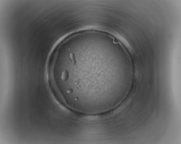 X0000113570888200909251132