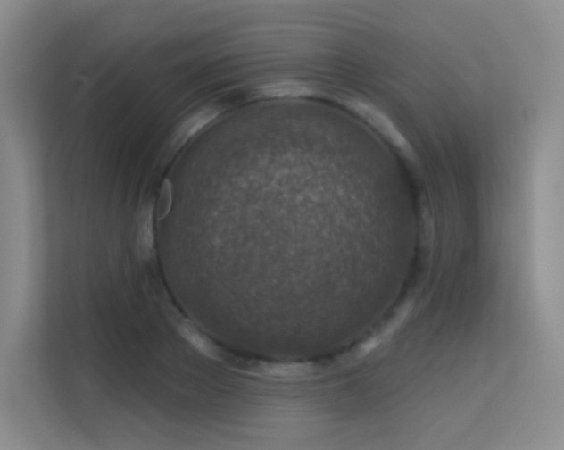 X0000113570889200909251132