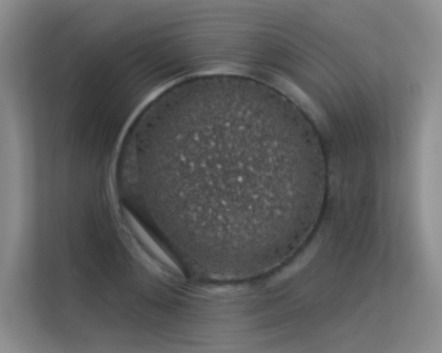 X0000113570892200909251132