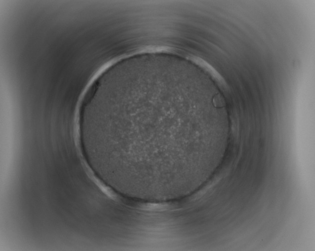 X0000113570894200909251132