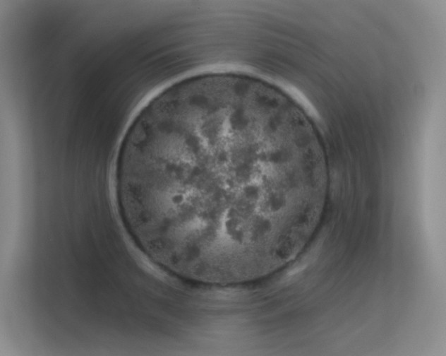 X0000113570895200909251132