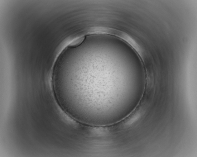 X0000113570901200909251132