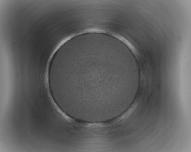 X0000113570902200909251132