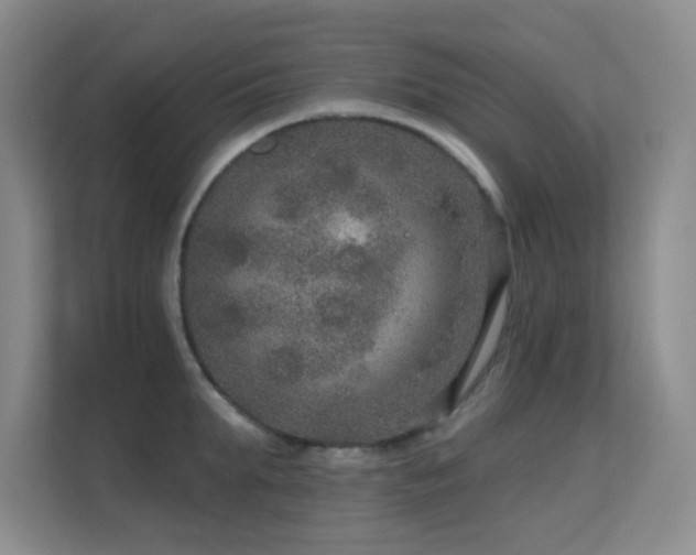 X0000113570903200909251132