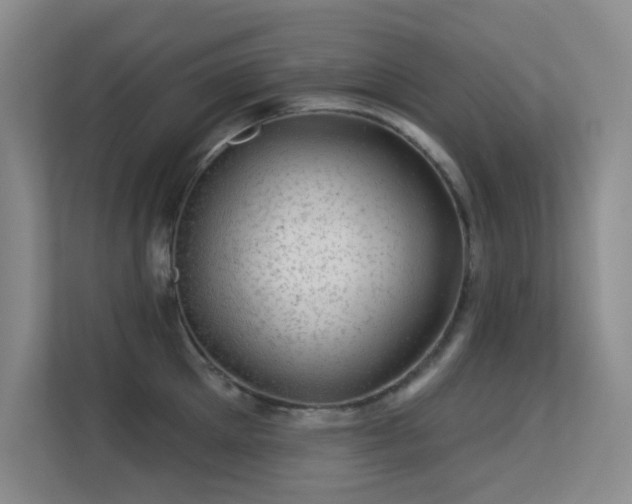 X0000113570905200909251132