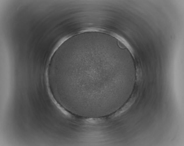 X0000113570906200909251132