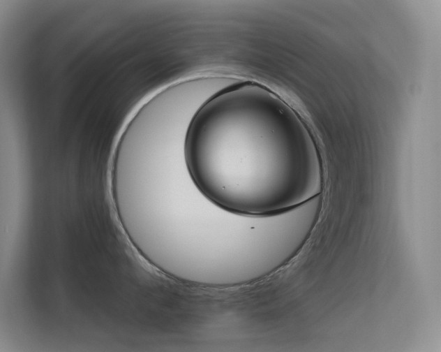 X0000113570912200909251132
