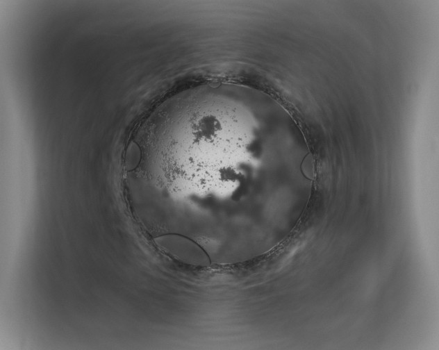 X0000113570913200909251131