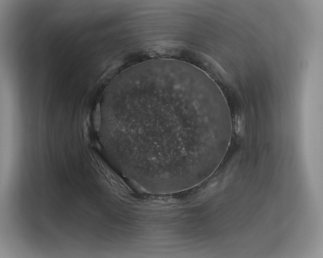 X0000113570915200909251131