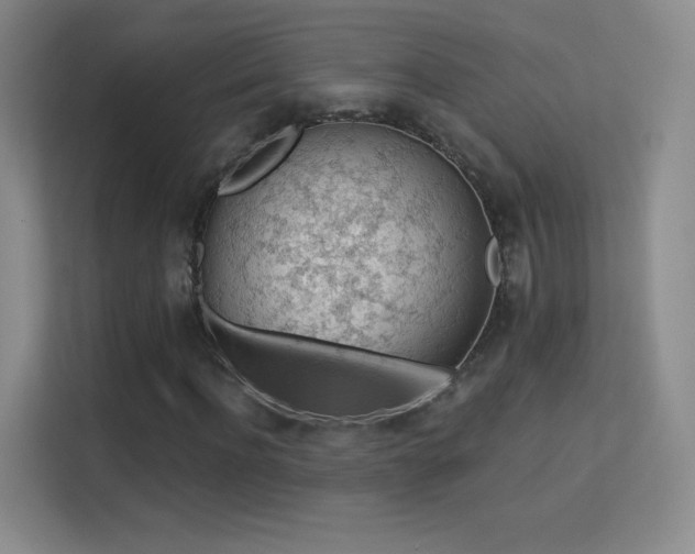 X0000113570916200909251131