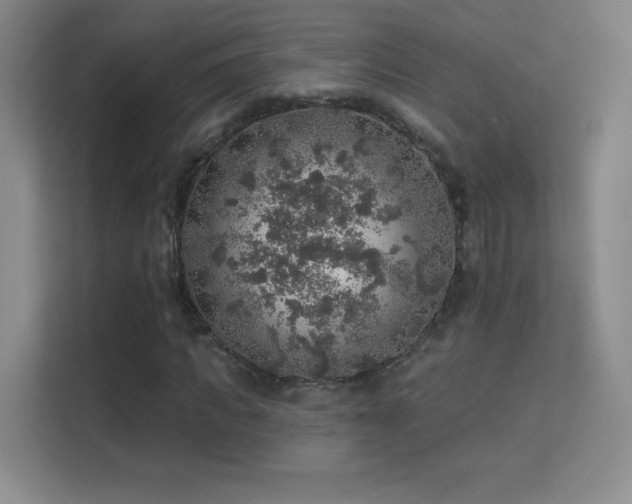 X0000113570917200909251131