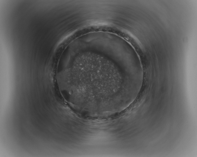 X0000113570919200909251131
