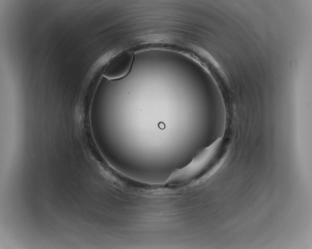 X0000113570922200909251131