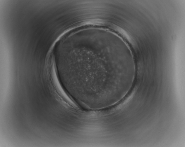 X0000113570923200909251131