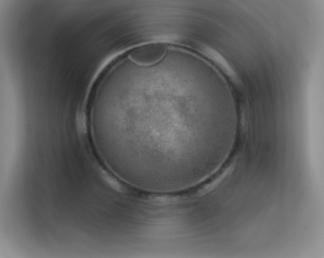 X0000113570924200909251131