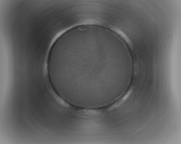 X0000113570928200909251131
