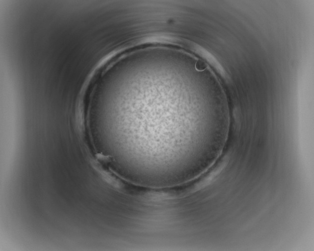 X0000113570931200909251131
