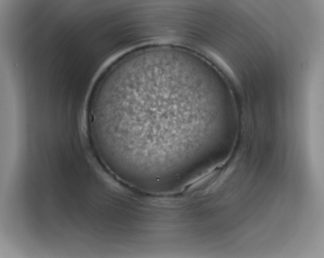 X0000113570932200909251131