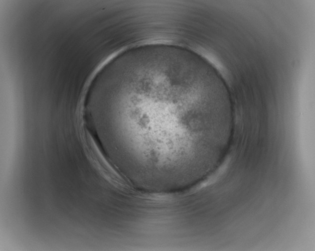 X0000113570933200909251131