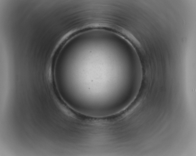 X0000113570934200909251131