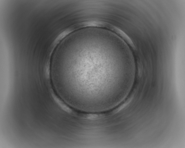 X0000113570938200909251131