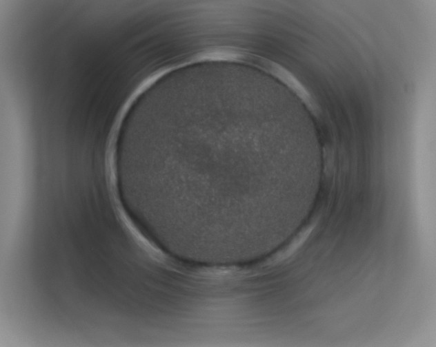 X0000113570939200909251131
