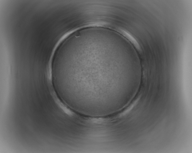 X0000113570940200909251131