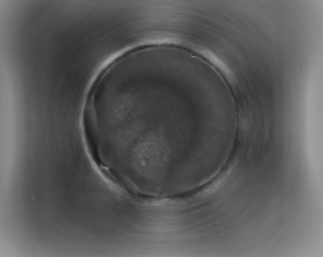 X0000113570943200909251131
